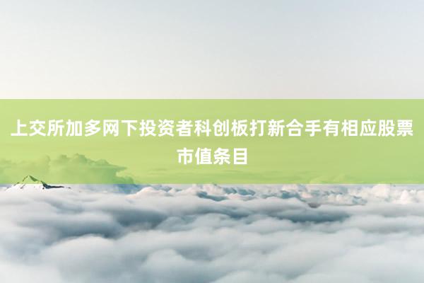 上交所加多网下投资者科创板打新合手有相应股票市值条目
