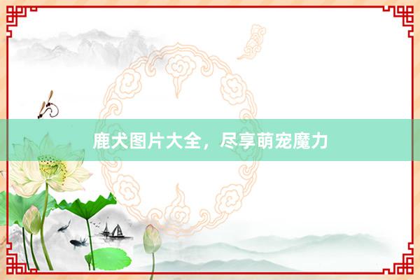 鹿犬图片大全，尽享萌宠魔力