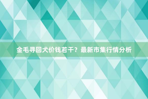 金毛寻回犬价钱若干?最新市集行情分析
